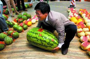 吃瓜比赛每日反差,每日反差笑料连篇