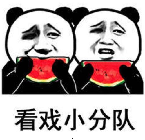 娱乐吃瓜酱图片表情包可爱,可爱萌态，笑点满满