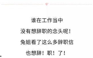 娱乐吃瓜酱辞职信,揭秘背后原因与行业影响